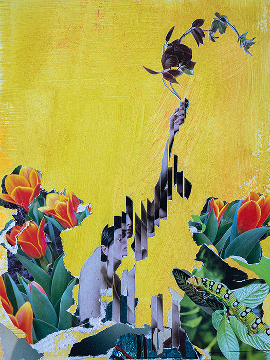 Деструктивное перерождение