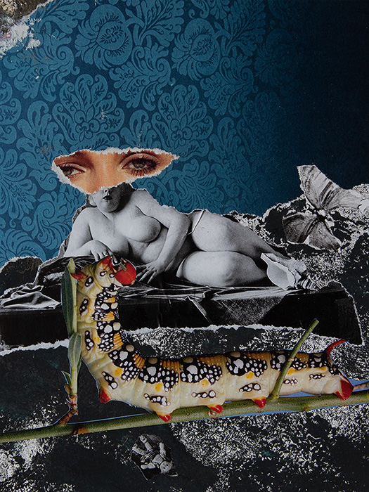 Насекомолюбие